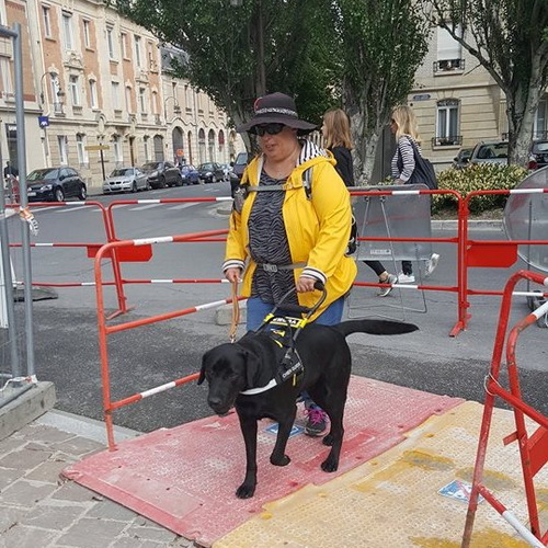 Шлейка для собак поводырей людей со слабым зрением shlejka dlya sobak povodyrej ludej so slabym zrenijem h20