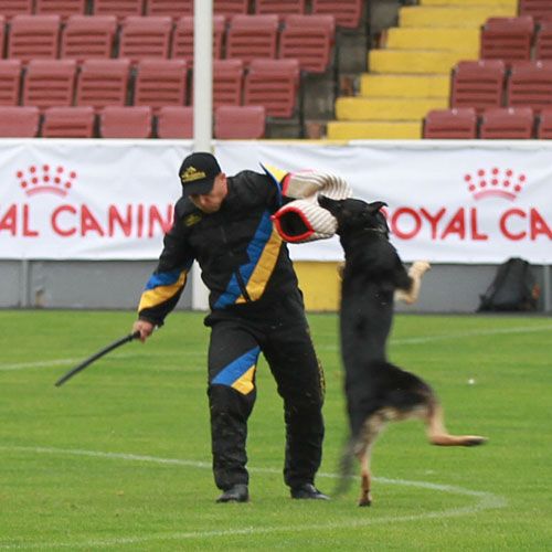 Гибкий дрессировочный стек «Sports Equipment» gibkij dressirovochnyj stek sport equipment